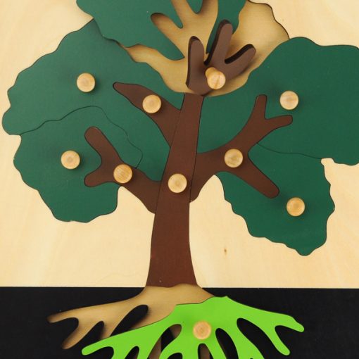 Puzzle de l'arbre Montessori