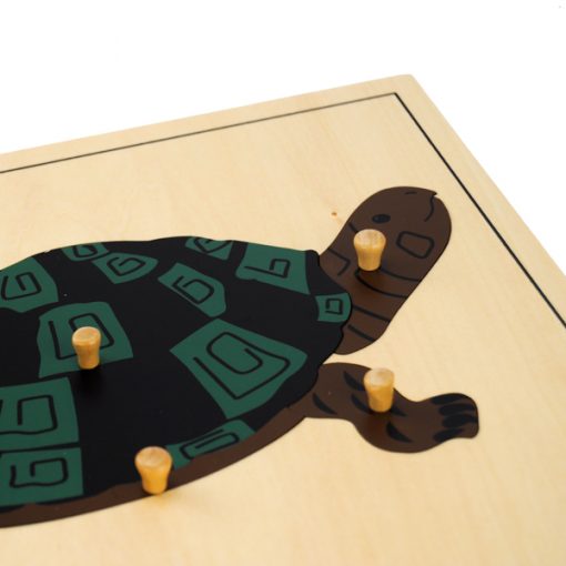 Puzzle de la tortue montessori