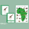 animaux du continent africain