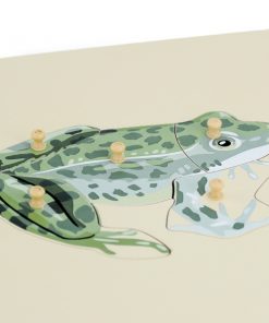 grenouille montessori